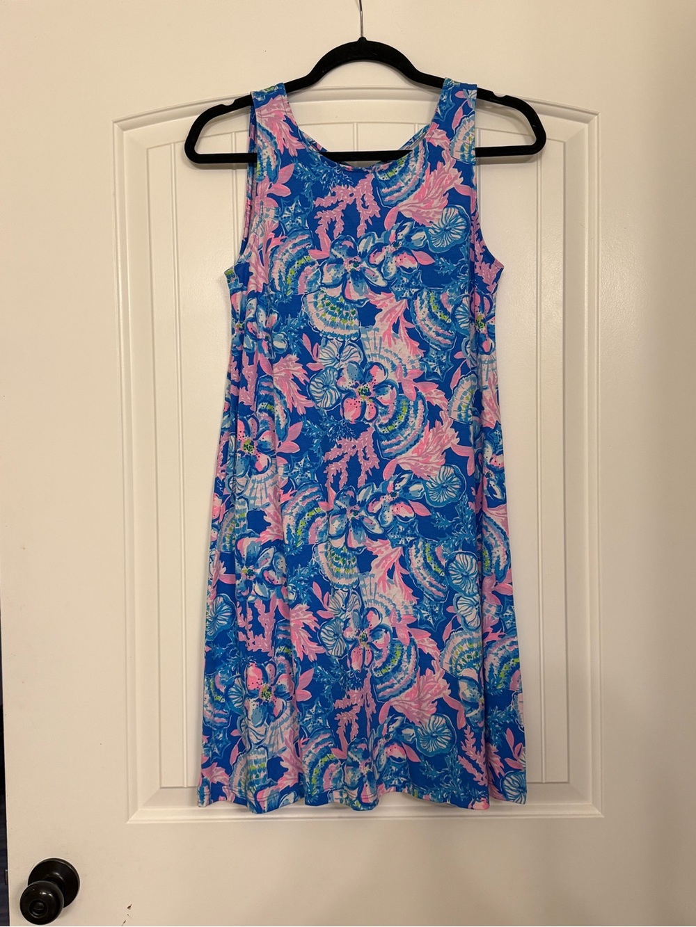 Lilly Pulitzer Sleeveless Floral A-Line Dress in Blue & Pink